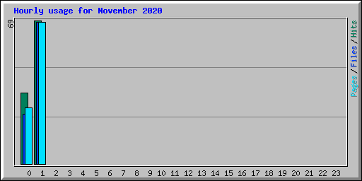 Hourly usage for November 2020